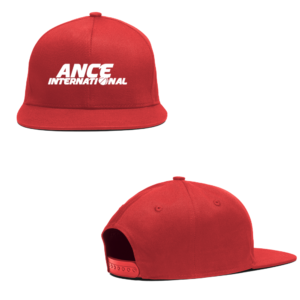 AI-100-507 Snap Back Cap